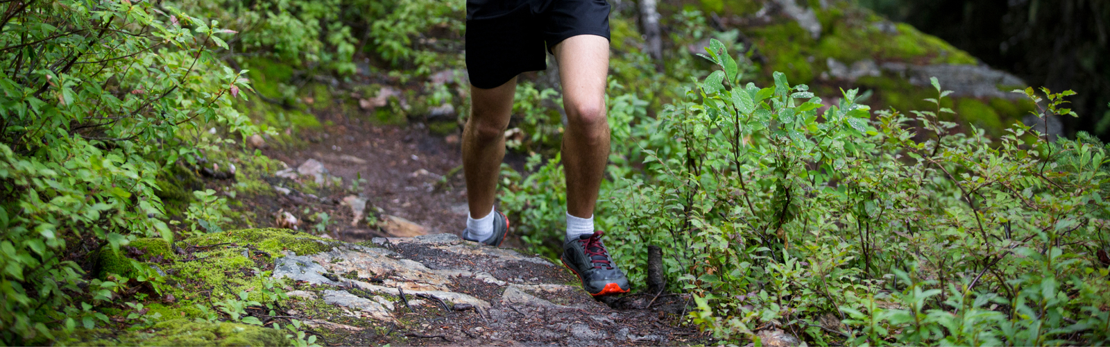 Running shoe buying guide natterjack.co.uk