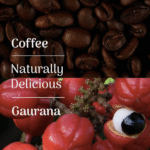Veloforte Doppio - Maple, Coffee and Guarana